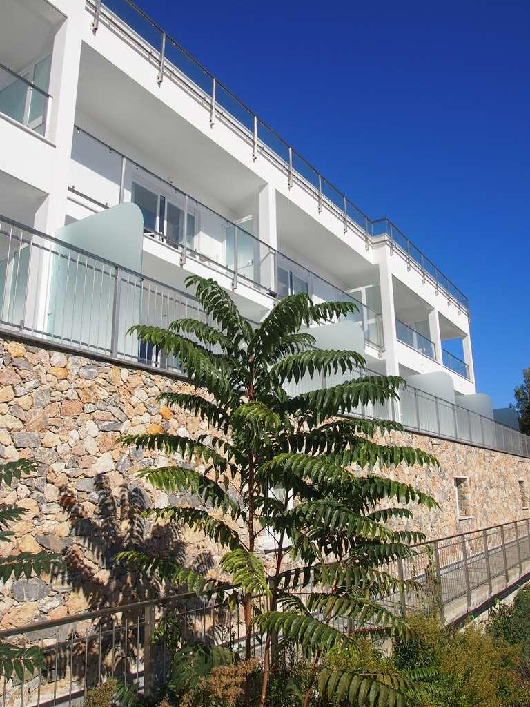 Best Western Hotel Acqua Novella Spotorno Eksteriør billede