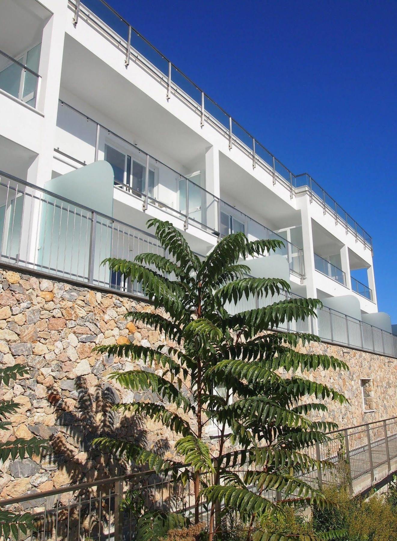 Best Western Hotel Acqua Novella Spotorno Eksteriør billede